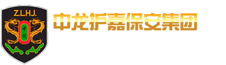 中龍護嘉安保集團有限公司